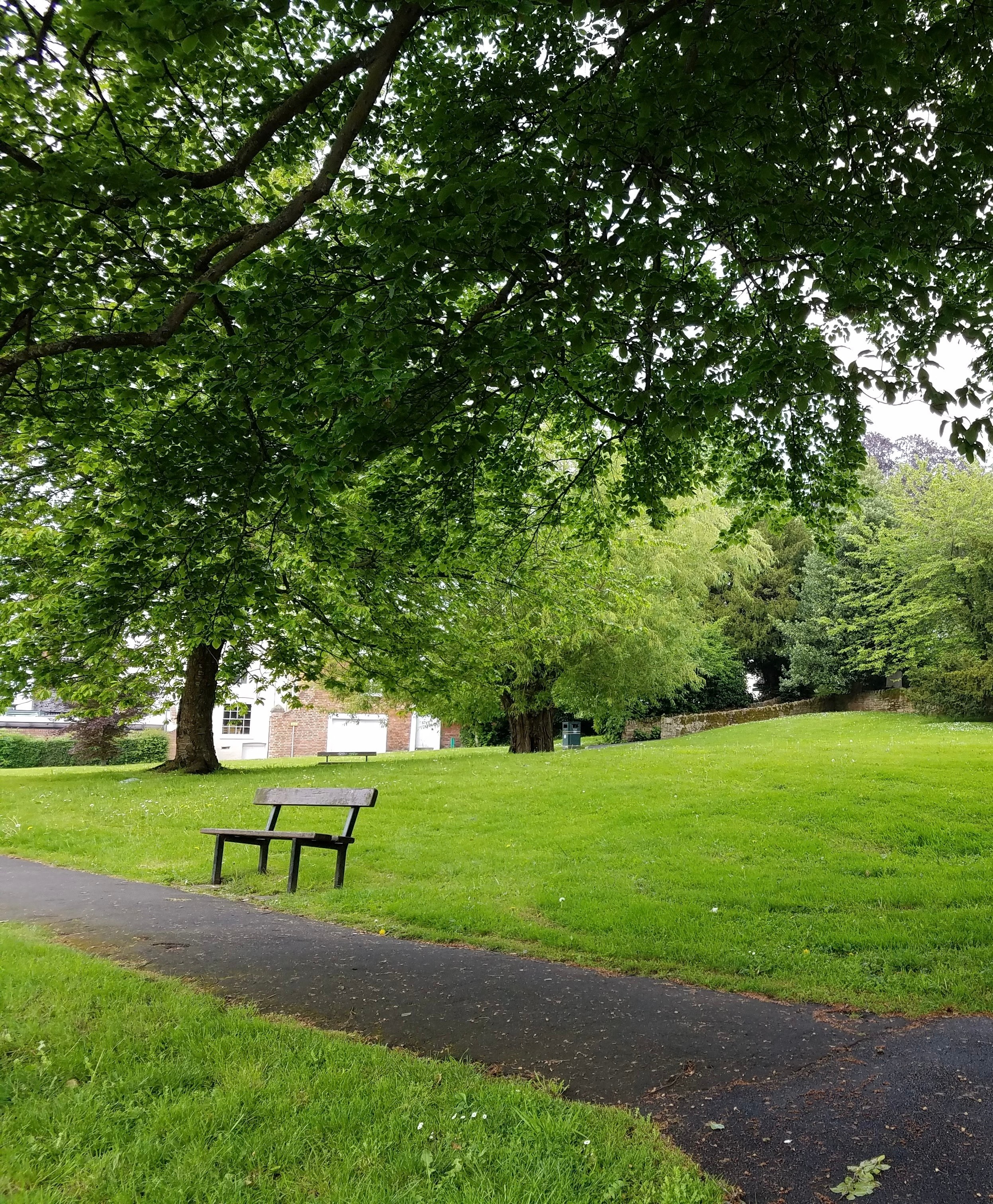 Calming green park scene symbolizing peace and restoration